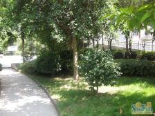 北湖郡 2室0厅 东南 北