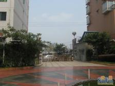 回兴 天工琴露园四房