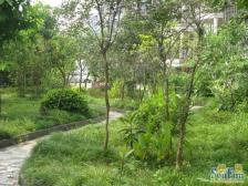 户型方正 楼层适中 采光充足 出行便利