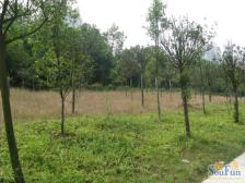 一碗水 金碧园小区二房45万