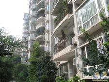 一碗水 春天花园三房59万