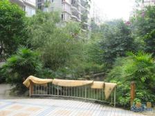 春天花园 5室2厅 南