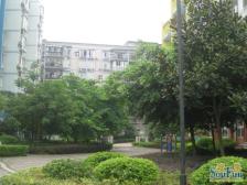 住家装修 保持的不错 带65平左右屋顶花园和10几平露台