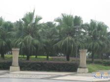 一碗水 银海峰景二房54万