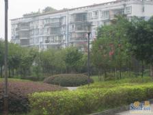 住家装修 保持的不错 带65平左右屋顶花园和10几平露台