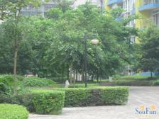 一碗水 银海峰景二房53万