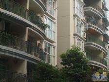 佣金3666元 一碗水 书香美地二房50万