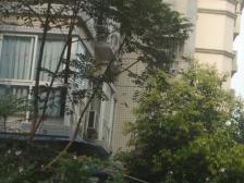 一碗水 书香美地四房75万