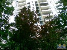 渝北体育馆旁嘿巴适精装两房,拎包入住 诚心出售