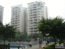 户型方正,采光好,出行方便的房子出售