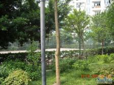 青麓雅园 5室2厅 南