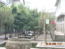 两路空港 青麓雅园二房58万