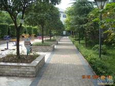 成熟配套住家装修四房,建面单价低,户型方正,采光好