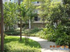 两路空港 龙凤花园三房83.5万