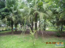 两路空港 名人港湾二房56.6万