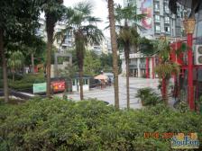 空港 原装电梯 配套齐全 户型方正