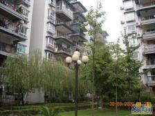 住家装修,户型方正,生活方便,交通便捷