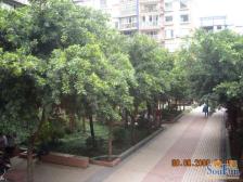 龙凤花园二区 3室2厅 东 东南