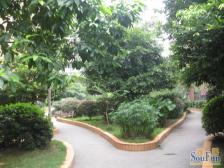 精装两室 中间楼层 户型方正 门口有公园