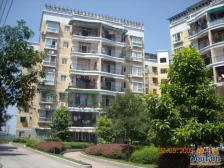 两路空港 金易花园四房70万