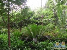 双轻轨,四公里商圈,随时看房。交通方便