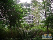 南坪四公里 双轻轨 精装房 家具家电齐全 拎包入住