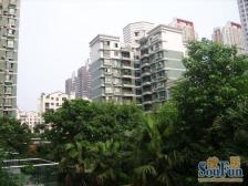 四公里 绿洲龙城三房