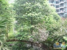 南坪四公里单配业主诚心出售!!