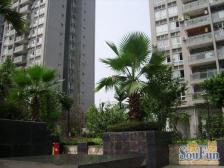 五公里大三房+视野开阔+看江+随时看房+诚心出售