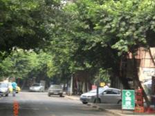 电梯大两房 卧室都带阳台 业主急售 随时看房