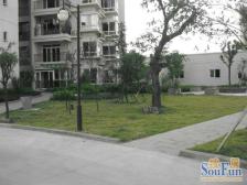 鸳鸯 丰源丽景一房56万