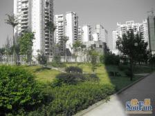 丰源丽景 5室2厅 西