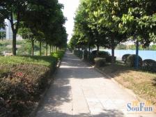 鸳鸯 丰源丽景三房180万