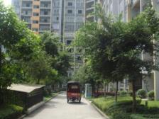 空港轻轨房,出行方便,交通便利,近商圈