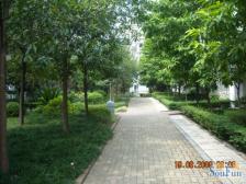 两路空港 和顺苑三房