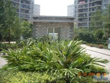 两路空港 嘉华盛世二房50万