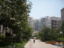 空港 轻轨旁 嘉华盛世精装三房双卫