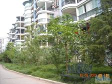 嘉华盛世 3室1厅 南