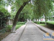 南大校园环境好 全天太阳 交通便利