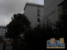 近地铁 刚需上车 采光好 入住快,新上房源