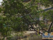 周家嘴路·舒兰小区·3室·1厅