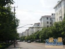 刚需上车 无抵押,新上房源