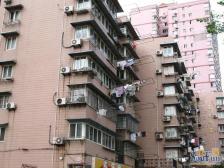 "爆款推荐"-瑞虹板块和平公园景观房,两房朝南精装修