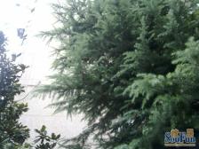 建信大楼2室东朝向420.00万元/套出售