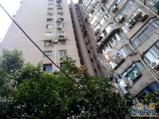 内环内电梯一房!和平公园旁!总价低近地铁