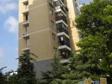 南北通透,卫生间全明,一梯两户,近地铁,居家装修,刚需好房,房型正气,繁华地段