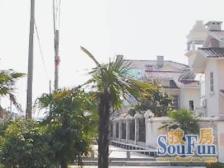 皇宫半岛 5室2厅 南