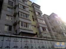 同济欣苑 1室1厅 南 北