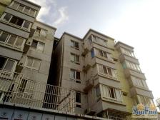 同济欣苑 1室1厅 南 北