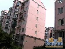 徐汇滨江电梯西边套,三阳台,高区景观房+俯瞰植物园